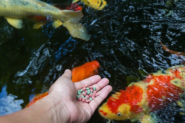 خوراک ماهی سبلان با منابع غذایی خاص